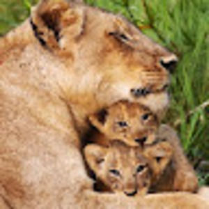 Meet your Posher, Kate